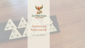 Gameschooling: Triominos - Een Mooi Gezin