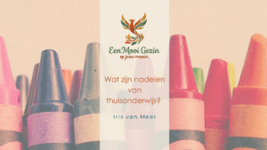 Wat zijn nadelen van thuisonderwijs? (eerlijk overzicht) - Een Mooi Gezin