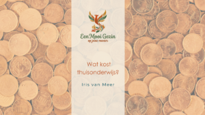 Wat kost thuisonderwijs? - Een Mooi Gezin